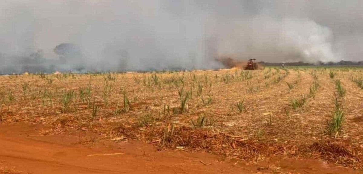 Incêndios em Minas afetam lavouras de café, cana, grãos e outros