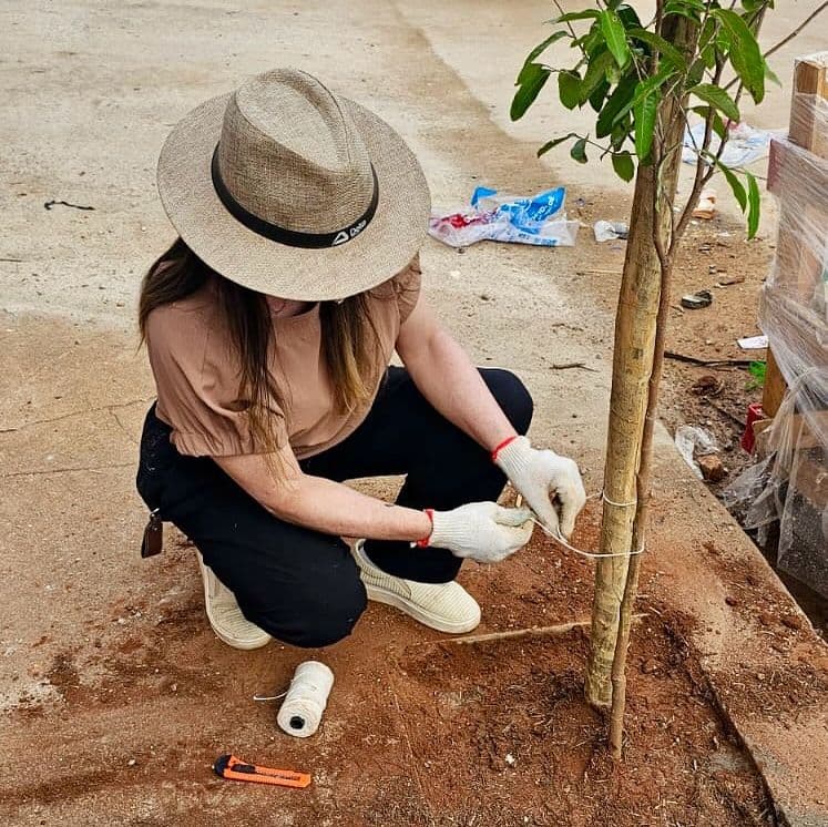 🌳🌴 Conceição Mais Verde: Cidade Ganha Novos Espaços Arborizados 🌴🌳
