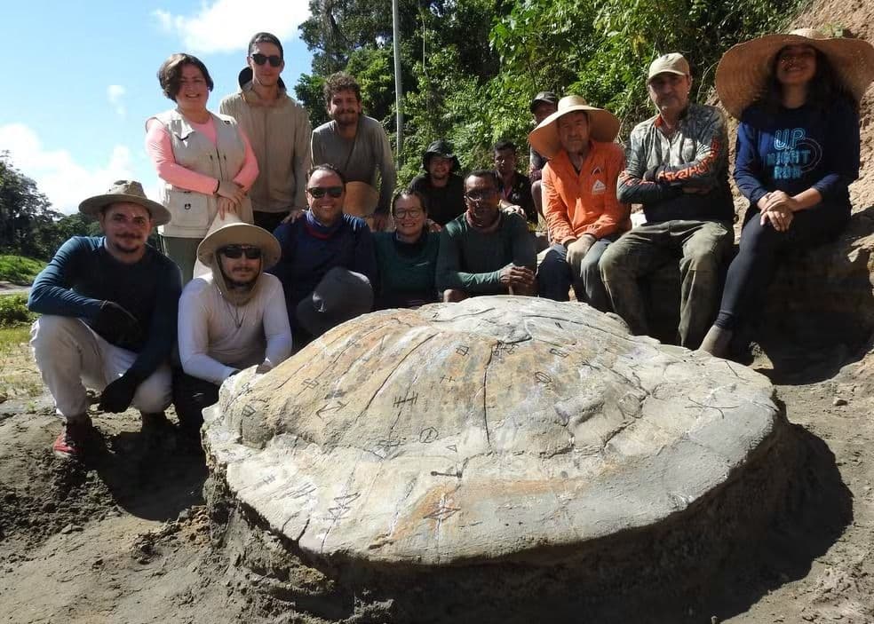 Pesquisadores encontram fóssil de tartaruga gigante de 13 milhões de anos no Acre