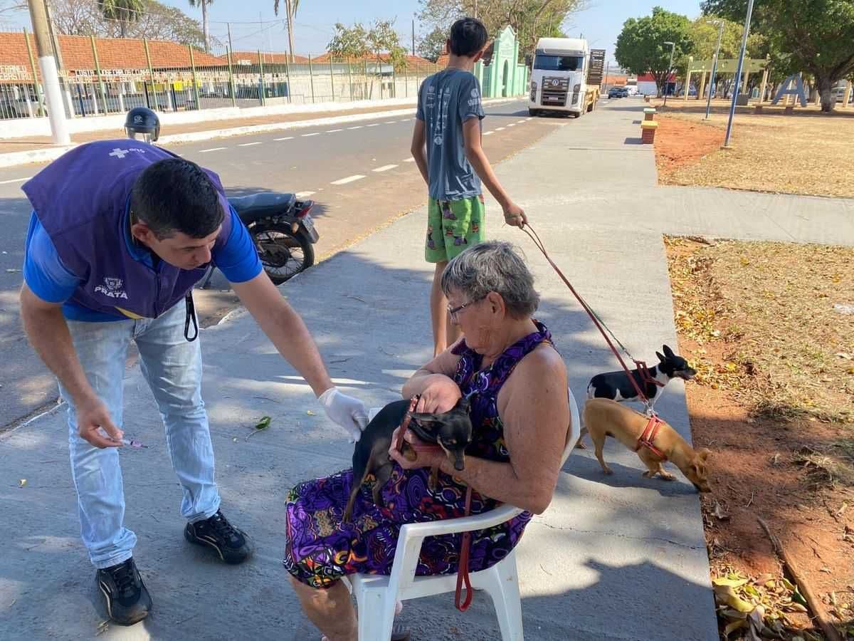 Campanha de Vacinação Antirrábica segue em andamento no município do Prata