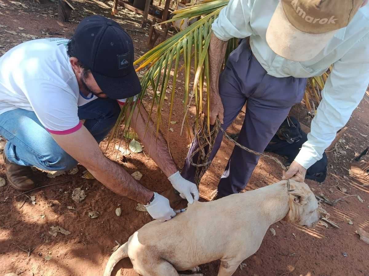 Vacinação contra a raiva chega à zona rural de Itapagipe