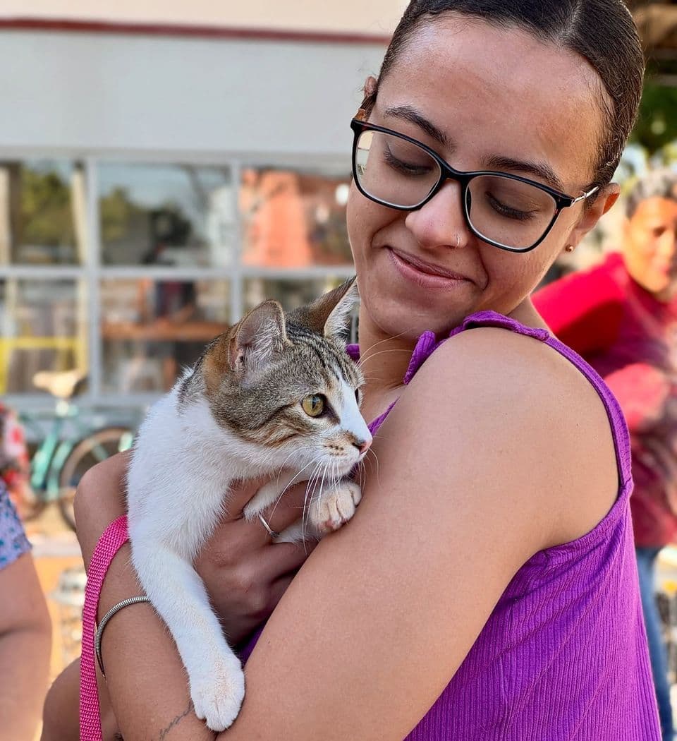 Castração de cães e gatos tem início em Conceição das Alagoas