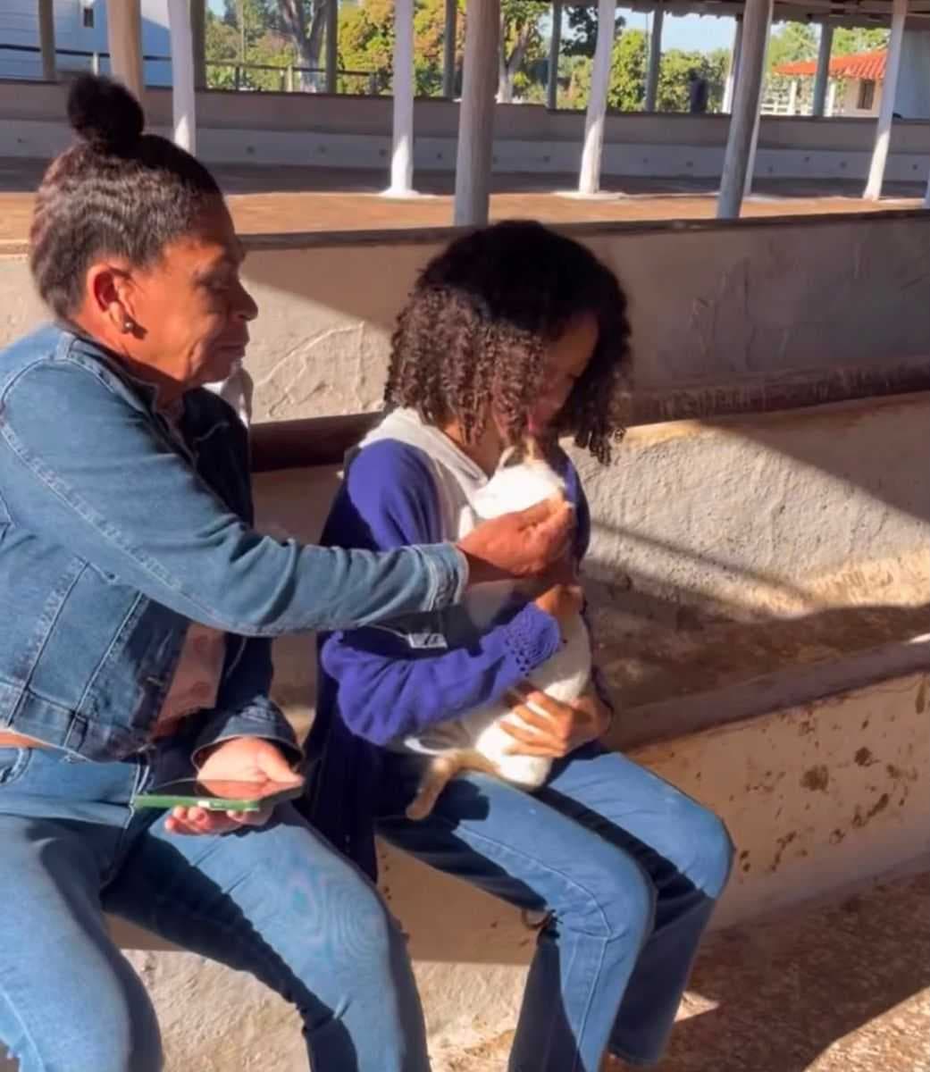 Castramóvel da Prefeitura do Prata amplia atendimento e garante bem-estar aos animais de estimação